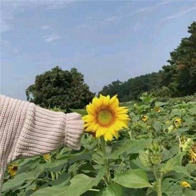 我能走得贼远官方版下载